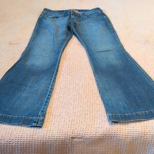 Express Women's Blue Flare Leg Jeans